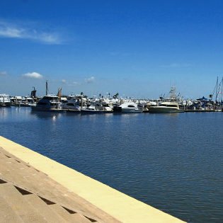 docked boats